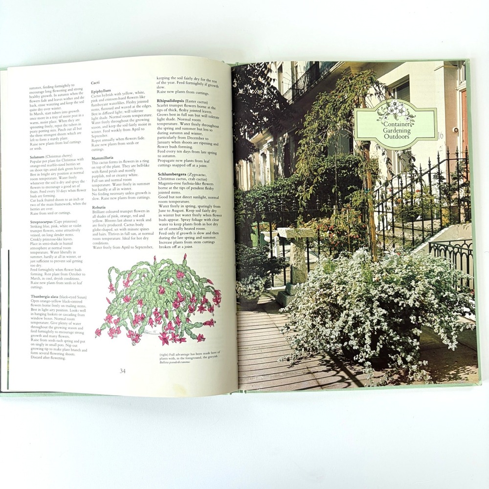Home & City Gardener Roy Hay 1975 Vintage Hardcover Book Floral Art Cover - Picture 6 of 8
